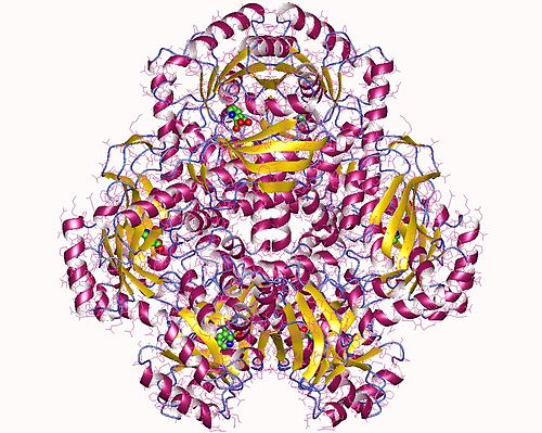 Nicotinate-nucleotide diphosphorylase (carboxylating)